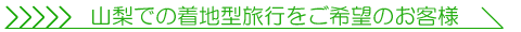 �R���ł̒��n�^���s������]�̂��q�l