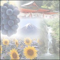 自然豊かな山梨県の観光スポットの四季折々の姿を皆様にご紹介致します